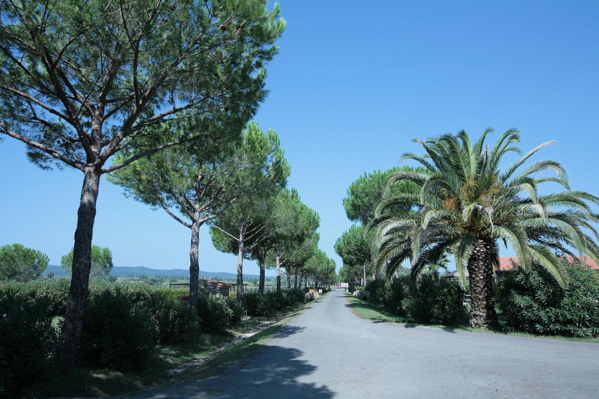 Agriturismo Cannavota Follonica Buitenkant foto